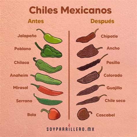 Chiles mexicanos | Chile mexicano, Tipos de chiles, Chiles secos