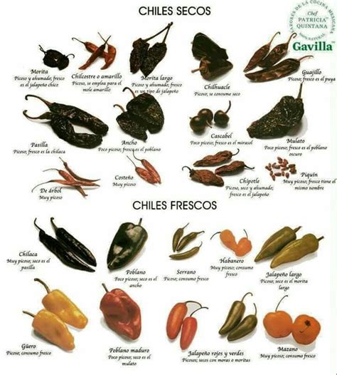 Chiles secos y frescos! | Tipos de chiles, Authentic mexican recipes ...