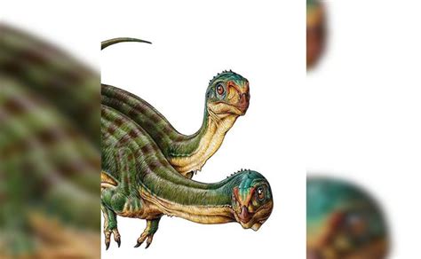 Chilesaurus: el primer dinosaurio de linaje desconocido