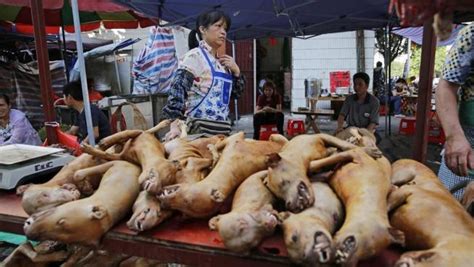 China enumera los animales que permite comer y saca a los ...