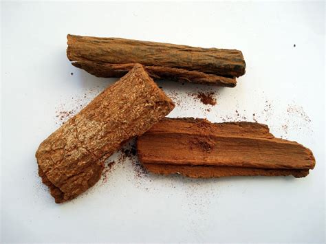 Chinchona bark is not a  cure  for COVID 19 and it could ...