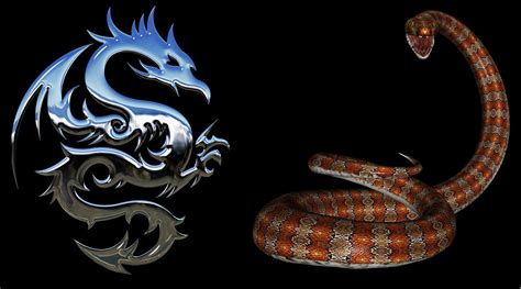 Chinese Horoscope   Snake Compatibility with Dragon