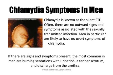 chlamydia first signs in men   Music Search Engine at ...