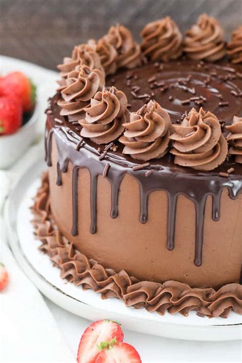 Chocolate Cake Recipe   Beyond Frosting