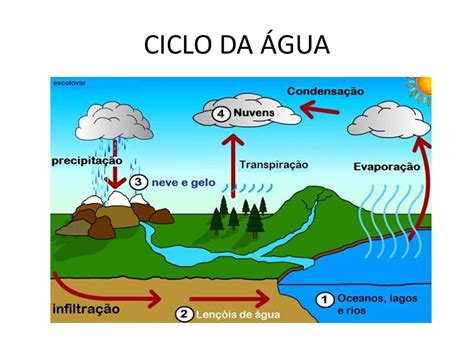Ciclo da Água na Natureza   Resumo, o que é, imagem e etapas