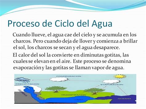 Ciclo del agua: Diapositivas del Ciclo del agua
