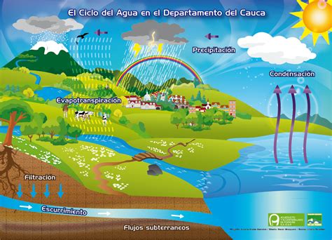 Ciclo del Agua:   Etapas, Información y Dibujos para Niños ...