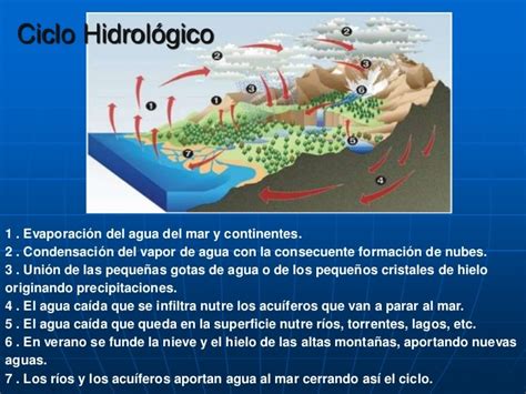 Ciclo Del Agua Explicacion   ciclo del agua