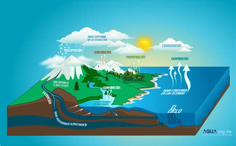 Ciclo del agua, Maqueta ciclo del agua, Ciencias naturales