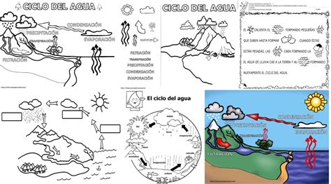 Ciclo Del Agua | Material Educativo