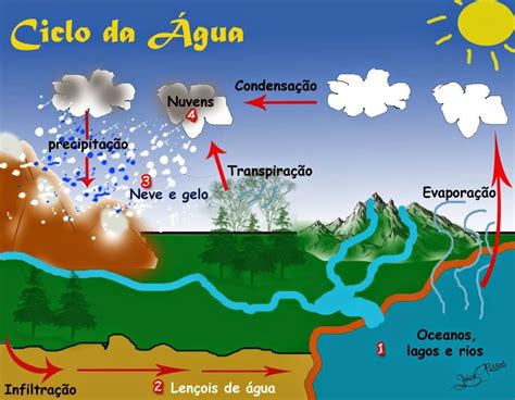 Ciclo Del Agua O Hidrologico   ciclo del agua