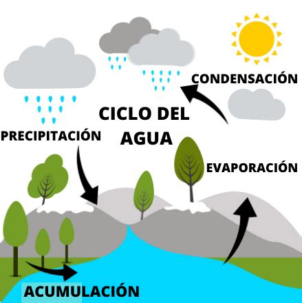 Ciclo del agua o hidrológico: etapas e importancia