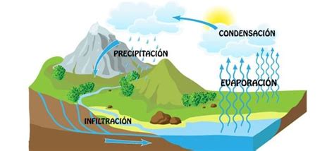 Ciclo del Agua   Qué es y etapas del ciclo  con imágenes