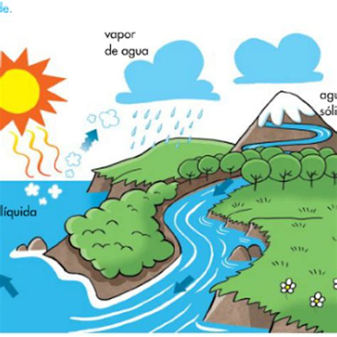 Ciclo Del Agua Y Su Proceso   ciclo del agua