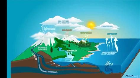 Ciclo Del Agua Y Sus Partes   ciclo del agua
