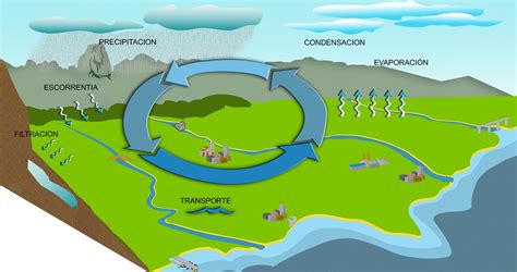 Ciclo hidrológico: características, importancia y procesos ...