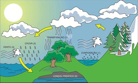 Ciclo Hidrológico: Etapas e Fases | Mundo Ecologia