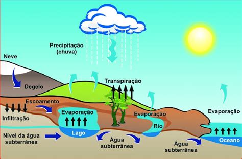 Ciclo Hidrológico: Etapas e Fases | Mundo Ecologia