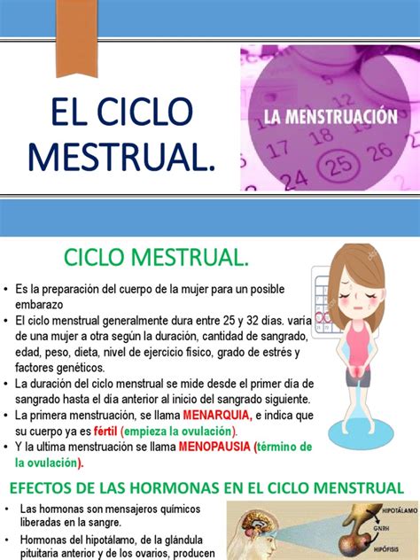 CICLO MESTRUAL | Ciclo menstrual | Menstruación | Prueba gratuita de 30 ...