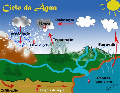 CICLOS BIOGEOQUÍMICOS: Ciclo da água