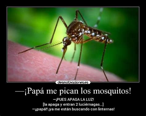 Ciencia y ESO: Pican, pican los mosquitos...