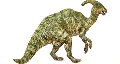 Ciencias: Dinosaurios | ¿Para qué usaban sus crestas este ...