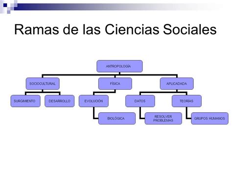 CIENCIAS SOCIALES Y SUS RAMAS