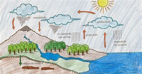 CiênciasEkos: O Ciclo da Água na Natureza