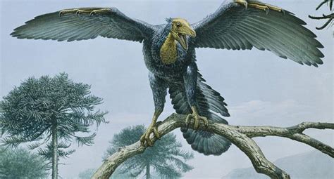 Científico propone invertir evolución de aves para crear dinosaurios ...
