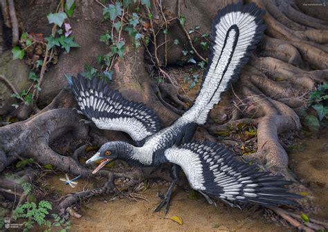 Científicos confirman que el primer fósil de una pluma perteneció a un ...