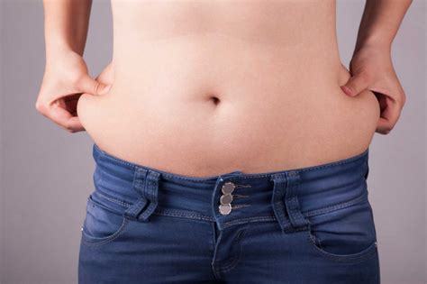 Científicos de la UNL descubren como disminuir grasa abdominal | AGENCIAFE
