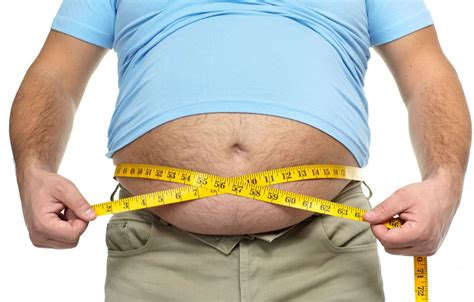 Científicos de la UNL descubren cómo disminuir grasa abdominal