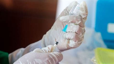 Científicos desarrollan vacuna para combatir el crecimiento de tumores ...
