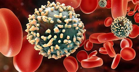 Científicos descubren cómo matar las células infectadas de VIH | La ...