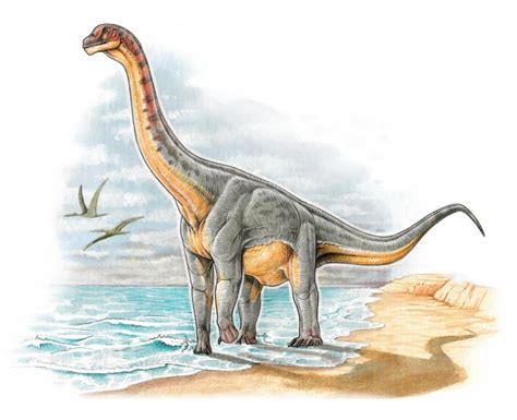 Científicos descubren el primer dinosaurio en suelo ...