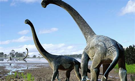 Científicos descubren especie de dinosaurio de cuello largo en Australia