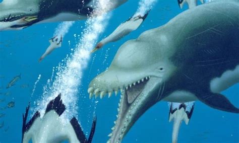 Científicos descubren una variedad de delfín extinto que fue el ...