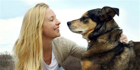 Científicos: los perros pueden  hablar  con los humanos ...