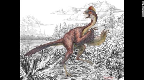 Científicos presentan un dinosaurio conocido como  el pollo del ...
