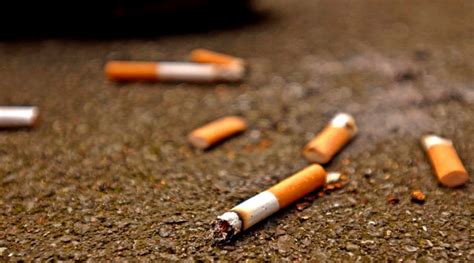 Científicos proponen reciclar colillas de cigarrillos y usarlas para ...