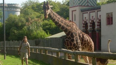 Cierra el zoológico de Buenos Aires tras 140 años ...