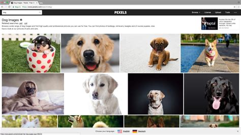 Cinco bancos de imágenes que puedes usar de forma gratuita • ENTER.CO