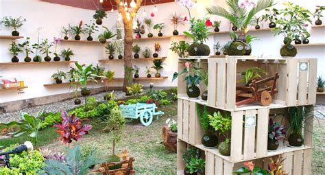 Cinco buenos lugares para comprar plantas decorativas en ...