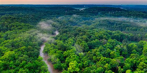 Cinco cosas a saber sobre la Amazonia – LA TRIBUNA
