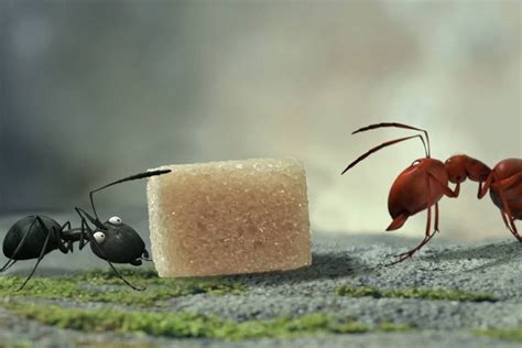 Cine infantil: Minúsculos, El valle de las hormigas perdidas | Centro ...