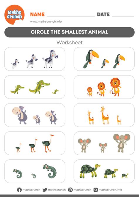 Circle the Smallest Animal   Kindergarten Worksheet for Kids | Maths Crunch