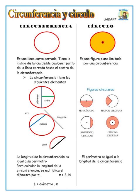 Circulo y circunferencia   Ficha interactiva | Circulo y circunferencia ...