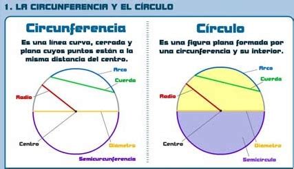 Círculo y Circunferencia   Somiadores