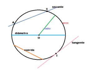 Circunferencia: definición, elementos y propiedades | Estudianteo