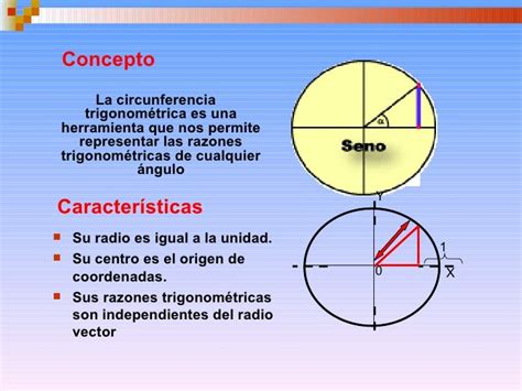 Circunferencia trigonométrica